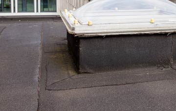 disadvantages of Gwaun Leision flat roofs