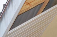 rated Gwaun Leision soffit repair companies